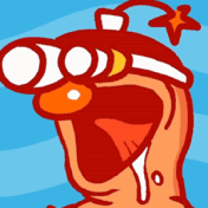 User