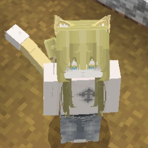 User
